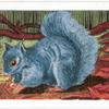 The Grey Squirrel.