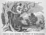 Fugitive slave escaping the pursuit of blood-hounds