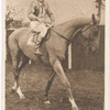 'Sergeant Murphy'