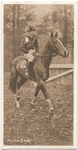 Alcazar.