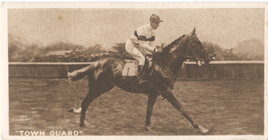Index