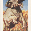 L'Elephant.