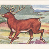 Le Cerf.
