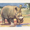 Le Rhinoceros.