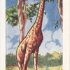 La Girafe.