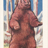L'Ours brun.