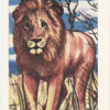 Le Lion.