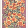 Tagetes.