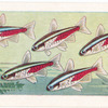 Neon Tetra.