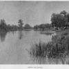 Down the Bayou