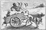 Family of ten riding a ox cart and the mule sends the driver flying