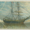 The Hansa