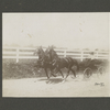 Double horse trotting wagon.