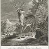 Disen Hirsch haben Thro Hochfürstl. Durchl. Carl Alexander Herzog zu Würtenberg, Anno 1735 den 22 Aug. in dem Vorhalden Frickenhausere Huth. Kirchheimer Forsts selbst geschossen.