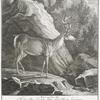 Anno 1739 die 15 7 bris, haben Thro Excell. Herr Herr Franz Lactantius des Heil. Römischen Reichs Freyherr von Firmian Sr. Röm. Kayserl. May. gehaimbter Rath und Kammerer auch Hoch-Fürstl. Saltzburgl. Obrist Hofmeister. disen Hirsch zu Weithwürth in dem Saltzburgl. geschossen.
