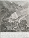 Diser sehr grosse Joch-Geyer, hat Anno 1685 in dem Tyrol am Cirl Berg nahe bey der Martins Wand auf disen Starcken Gems-Bock da er auf einem Klepper gang an einer Steilen Wand gestanden gestossen, das er bey 30 Klauffter hoch herunder gestürtzt und den hals gebrochen, da dann der Vogel bey dem raube auch geschossen worden.