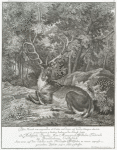 Disen Hirsch von ungeraden 16. Enden mit denen auf beeden Stangen abwärts gewachsenen 2. hacken haben in der Hirsch faiste S. Hochfürstl: Durchl: Herr Marggraf Wilhelm Friderich zu Brandenburg Onoltzbach, Anno 1720 auf dem Schellen wasen Triesdorfer Wildfuhr, in einem expresse gemachten Bestöett-jagen selbst geschossen.