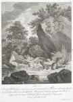 Anno 1736. Ist dise Wilde Gans von einem im geröricht laurenden Fuchsen auf einem altwasser bey Reichenweiler in der Graffschafft Mümpelgard lebendig gefangen, der Fuchs verfolget und von einem Hochfürste Würtenbergischen Jäger zum Schuss gebracht worden.