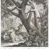 Ein Hirsch mit einem Stuck Wild und Hirsch Kalb in der Ruhe. Nach der Natur im Walde bey dem Kayserlichen Lust Schloss Lichtenberg gezeichnet.