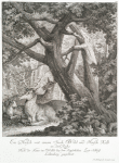 Ein Hirsch mit einem Stuck Wild und Hirsch Kalb in der Ruhe. Nach der Natur im Walde bey dem Kayserlichen Lust Schloss Lichtenberg gezeichnet.