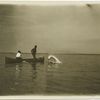 Captiva Pass : tarpon jumping.