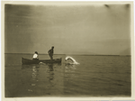 Captiva Pass : tarpon jumping.