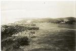 Bermuda [golf course], from 2nd tee looking west.
