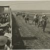 Finish of the Derby, 1915.