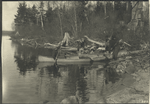 Hunting in Penobscot County, Me.