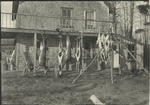 Hunting camp at Benedicta, Me.
