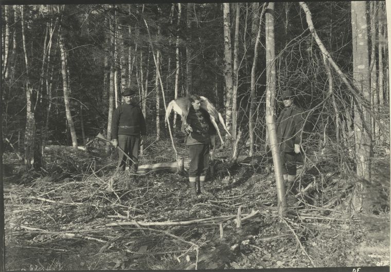 Deer hunting in Maine. - NYPL Digital Collections