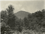 Looking Glass Rock from directly opposite the sheer 800 ft. face, Pisgah National Forest, North Carolina.