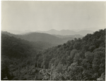 Scene from Trimont Mountain, Nantahala National Forest, North Carolina.