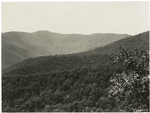 Scene on the Shenandoah National Forest, Virginia.