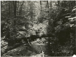 Kimsey Creek, Nantahala National Forest, North Carolina.