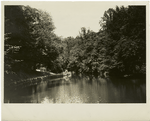 A stream that Washington Irving loved, and wrote about : the Pocantico River in Sleepy Hollow near Tarrytown, N.Y.