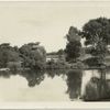 Landscape view on Clinton River, Dodge Bros. State Park #8, June 1924.