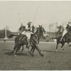 Polo playing at Piping Rock.