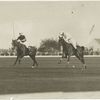 Two polo players during a match.