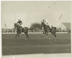 Two polo players during a match.