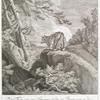 Diser Fuschs mit zwey Schwänzen ist den 14ten Februar. 1734 in der Heyde bey Oranienburg 4 Meilen von Berlin geschossen und der Balg wegen seiner Seltenheit auf der Königl. Kunst und Naturalien Kammer auf behalten worden.