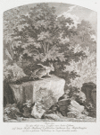 Anno 1741. Ist diser Hase mit 8 Loeufften und 2 hinder Leiberen auf denen Hoch-Freyherrl. Loblischen Gütheren bey Meisselhusen aauf dem so genanten Stickelsberg im Lager bekomen worden.