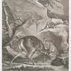 Anno 1718 diser junge und rasche 8ter ist im Gebürge bey ¾ Stund hinder der Clausen im Tyrol von einem Luchs angefallen worden, er hatt aber da er ihme zweischen das gehörne gekomen denselben an einem felsen gespisset, doch sind beyde auf dem platz tod gefunden worden.