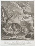 Anno 1718 diser junge und rasche 8ter ist im Gebürge bey ¾ Stund hinder der Clausen im Tyrol von einem Luchs angefallen worden, er hatt aber da er ihme zweischen das gehörne gekomen denselben an einem felsen gespisset, doch sind beyde auf dem platz tod gefunden worden.