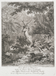 Disen Hirsch mit Schlappohren haben des Regier. Herrn Landgrafen von Hessen Darmstadt Hochfürstl. Durchl. den 20ten Augl. 1754 in der gegend con Darmstadt geschossen.