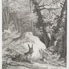 Dieser Hase mit angedeuteten raren Zähnen ist den 25ten Octobr. 1753 im Lecheimer Forst 4 Stund weit von Darmstadt geschossen worden.