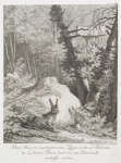Dieser Hase mit angedeuteten raren Zähnen ist den 25ten Octobr. 1753 im Lecheimer Forst 4 Stund weit von Darmstadt geschossen worden.