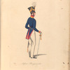 Denmark, 1835 : Deenske burgerweer en beamten