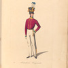 Denmark, 1835 : Deenske burgerweer en beamten