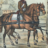 Roumania, 1896 [part 2]